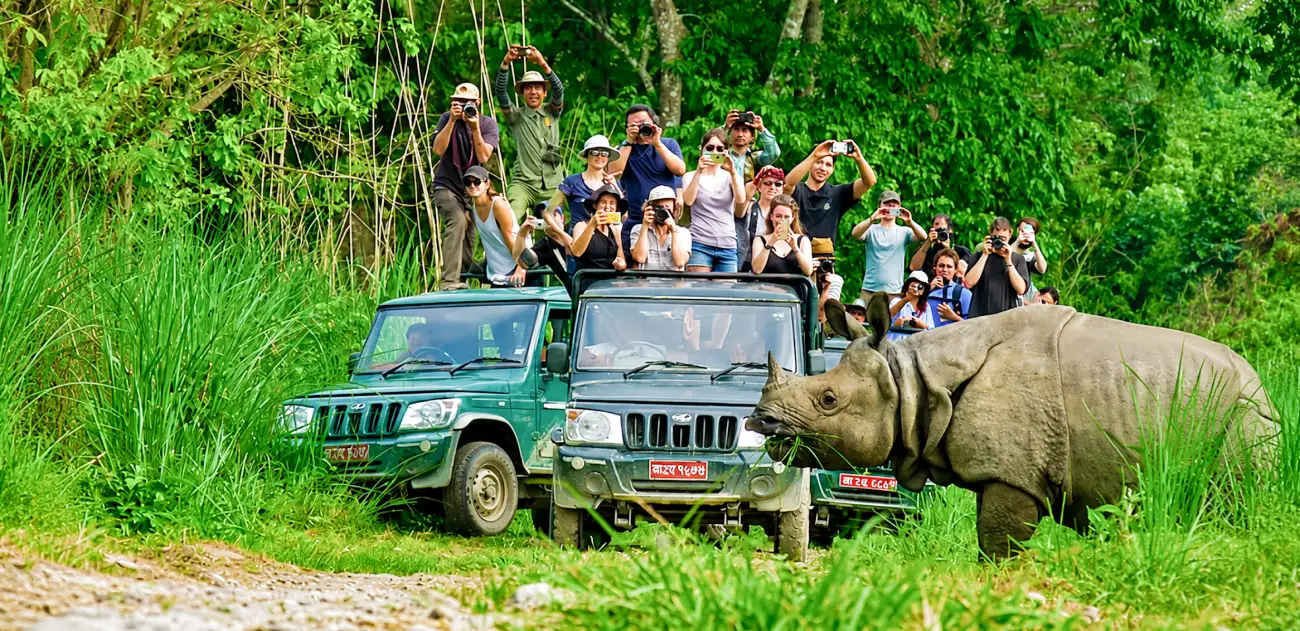 Jungle Safari in Nepal: Best Wildlife Tours in Chitwan and Bardia